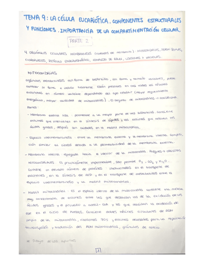 Miniatura del documento Tema-9-parte-2.pdf