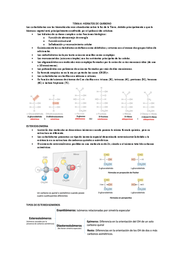 Miniatura del documento TEMA-4-HIDRATOS-DE-CARBONO.pdf
