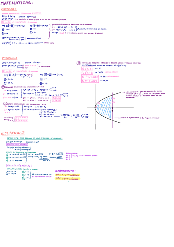 Miniatura del documento multiplicadores-de-lagrange.pdf