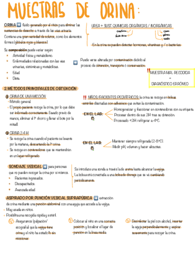 Miniatura del documento Tema-11.pdf