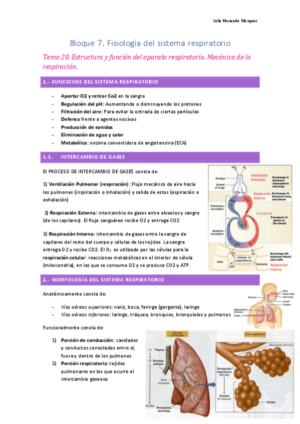 Miniatura del documento Bloque-Respiratorio.-Fisiologia.pdf