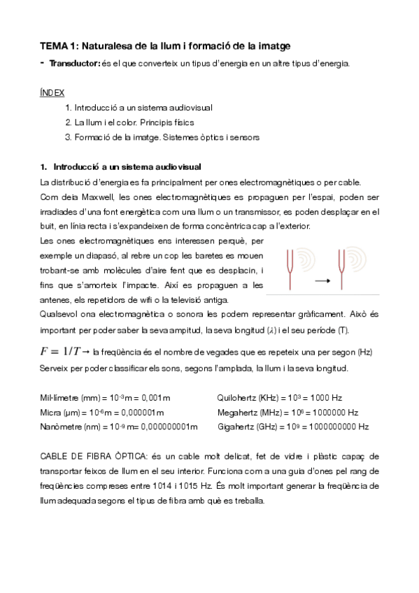 Miniatura del documento Resum-TEMA-1.pdf