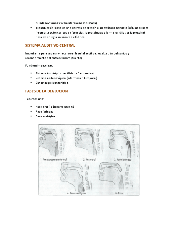 Miniatura del documento TEMAS-ALTERACIONESSSSSS-12.pdf