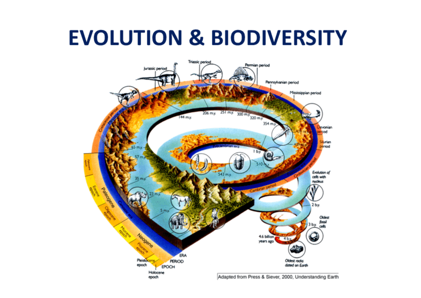 Miniatura del documento Seminar-1-EvolutionBiodiversity.pdf