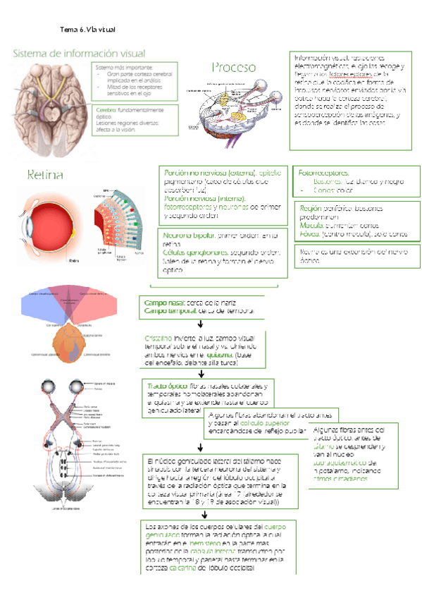 Miniatura del documento Via-visual.pdf