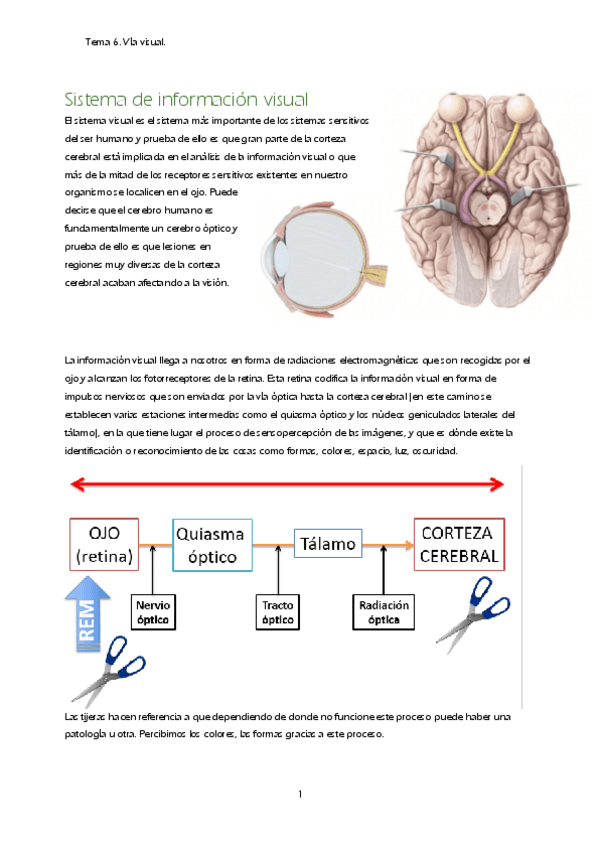Miniatura del documento T6.-Sistema-de-informacion-visual.pdf