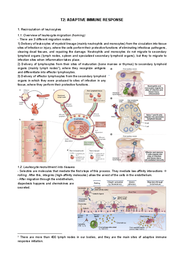 Miniatura del documento tema-2.pdf