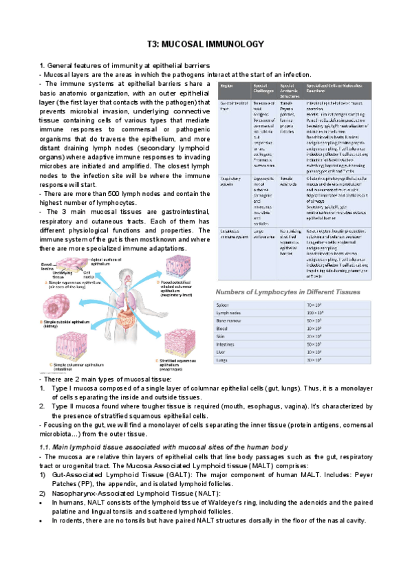 Miniatura del documento tema-3.pdf