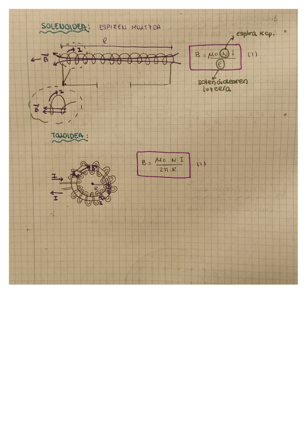 Miniatura del documento Solenoidea-eta-Toloidea.pdf