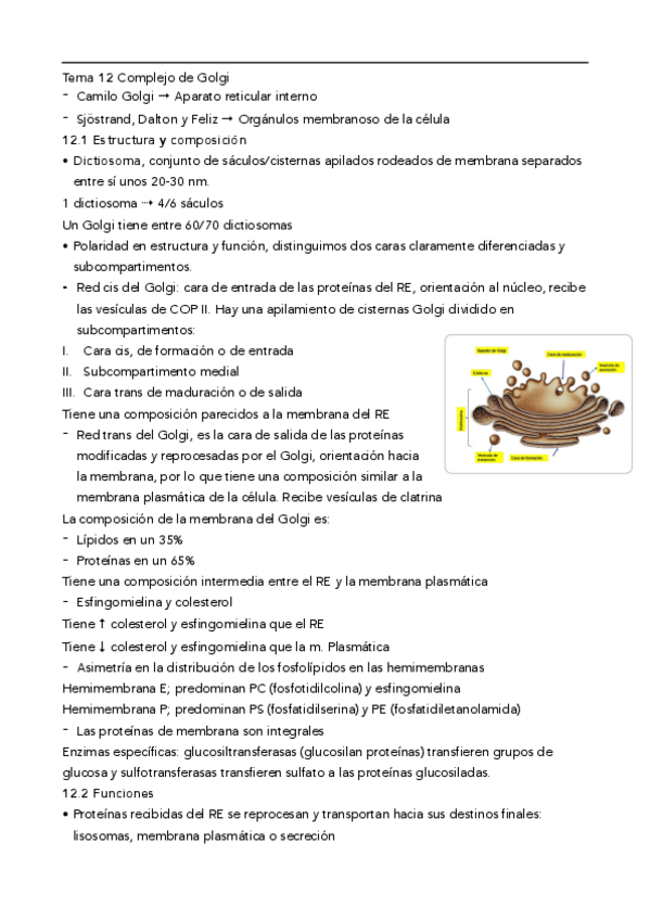 Miniatura del documento biologia-celular-2o-parcial.pdf