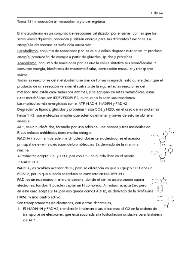 Miniatura del documento BIOQUIMICA-2o-PARCIAL.pdf