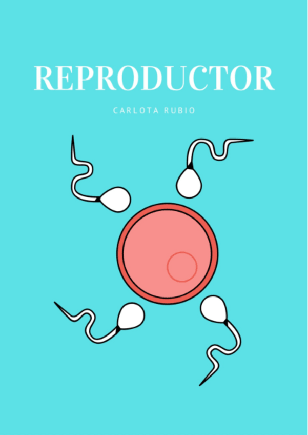 Miniatura del documento REPRODUCTOR-MASCULINO.pdf