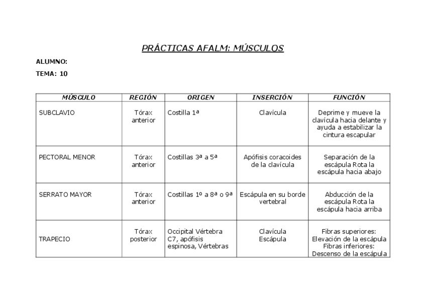Miniatura del documento tema-10-FICHAS-DE-PRACTICAS-MUSCULOS-CINTURA-ESCAPULAR.pdf
