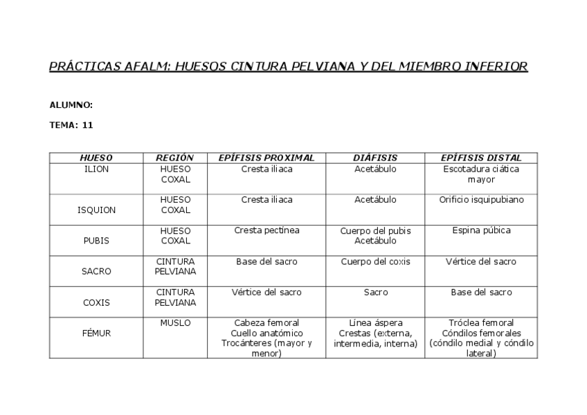 Miniatura del documento tema-11-FICHA-DE-TRABAJO-DE-LAS-SESIONES-PRACTICAS-DEL-ESQUELETO-OSEO-DE-LA-CINTURA-PELVIANA-Y-DEL-MIEMBRO-INFERIOR.pdf