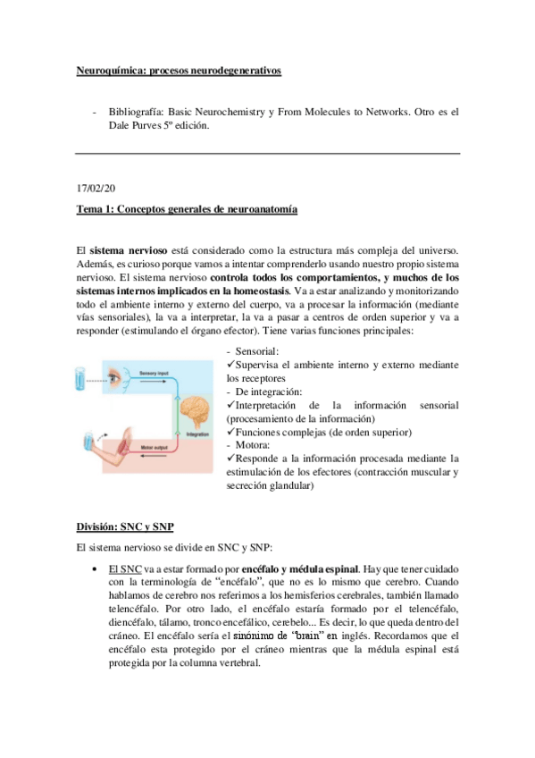 Miniatura del documento Neuroquimica.pdf