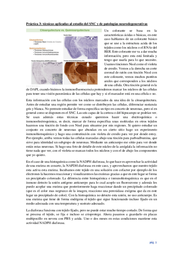 Miniatura del documento Teoria-practica-3.pdf