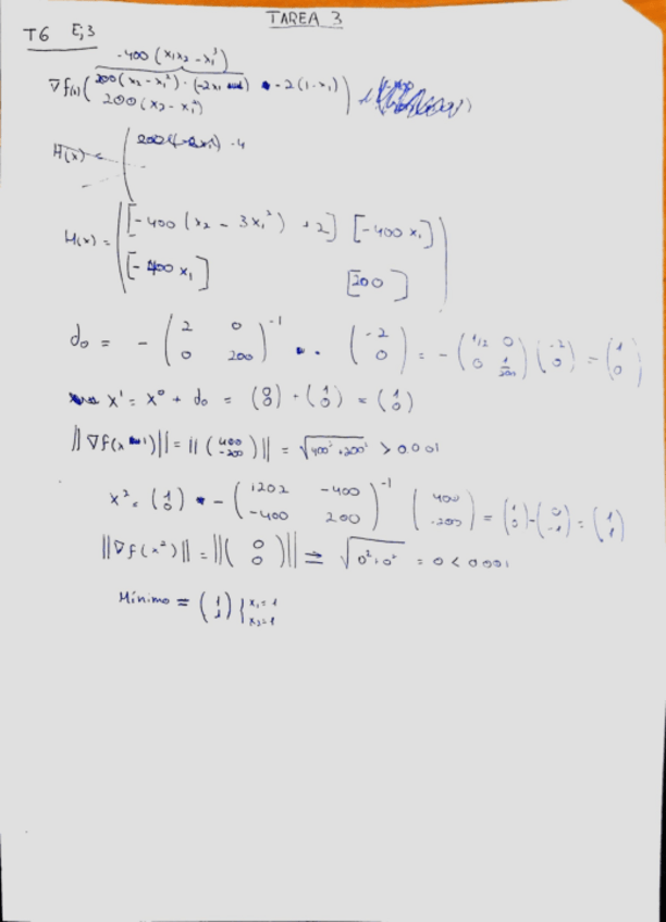 Miniatura del documento TareaOptimizacion3.pdf