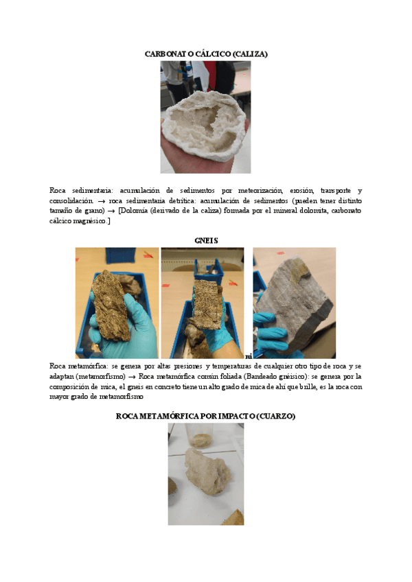 Miniatura del documento EXAMEN-TIPOS-DE-ROCAS.pdf