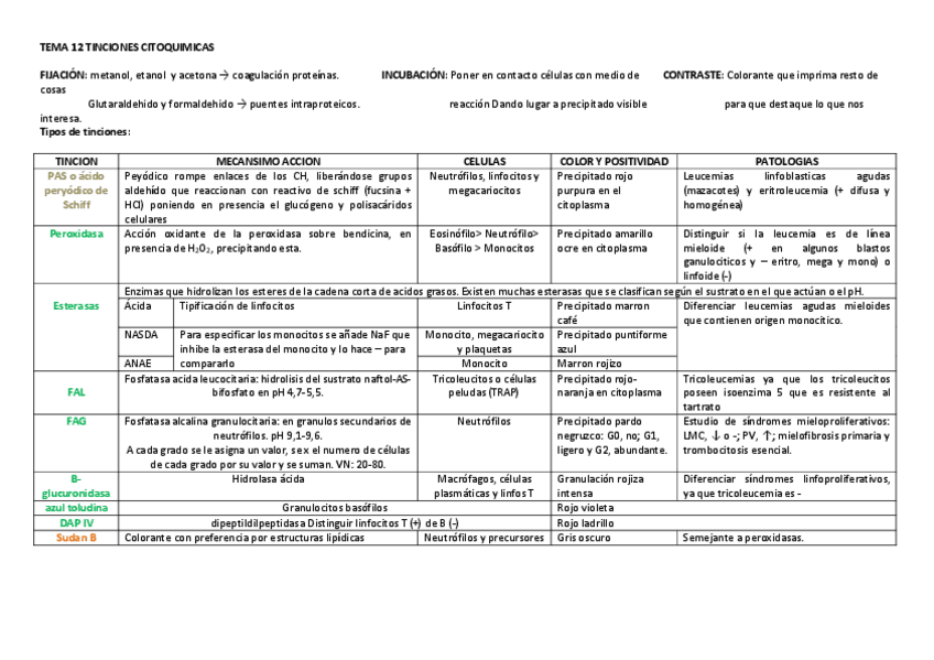 Miniatura del documento TEMA-12-TINCIONES-CITOQUIMICAS.pdf