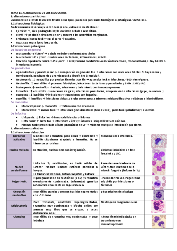 Miniatura del documento TEMA-11-ALTERACIONES-DE-LOS-LEUCOCITOS.pdf