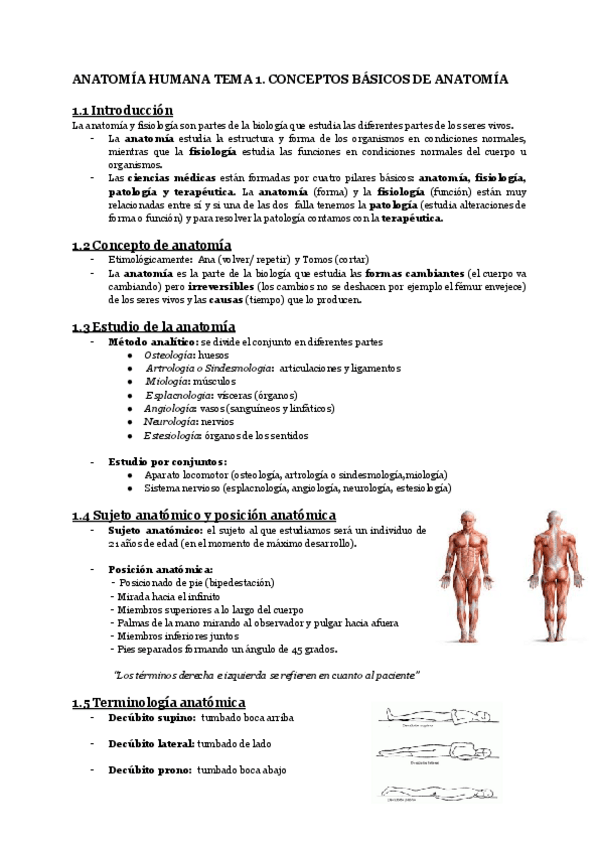 Miniatura del documento TEMA-1-ANATO-CONCEPTOS-DE-ANATOMIA.pdf