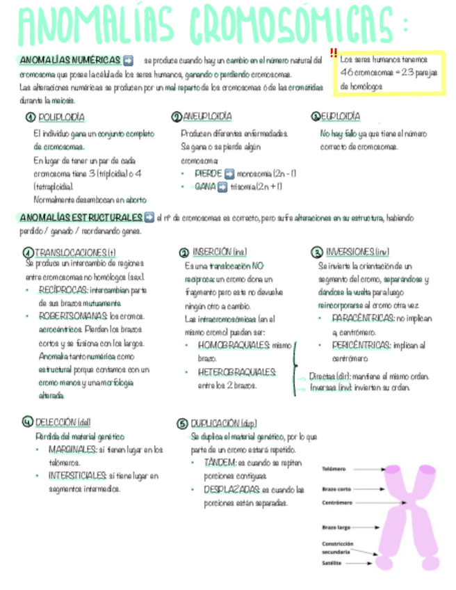 Miniatura del documento Tema-11.pdf