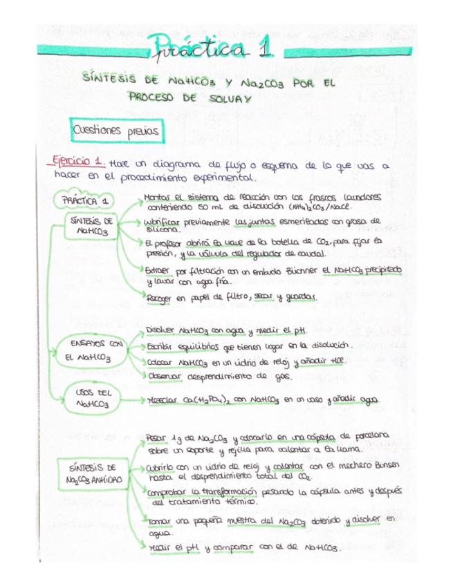 Miniatura del documento Cuadernillo-Practicas-Quimica-Inorganica.pdf