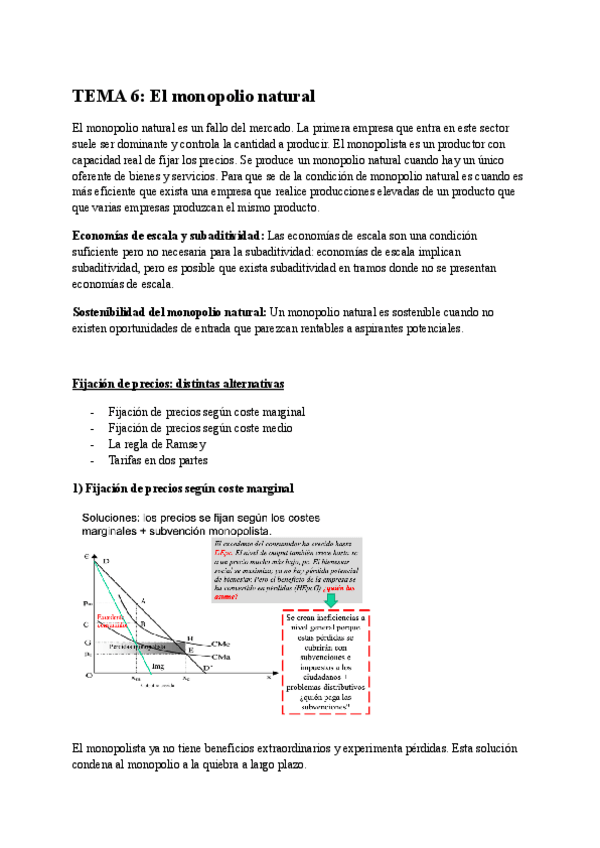 Miniatura del documento Resumen-tema-6.pdf
