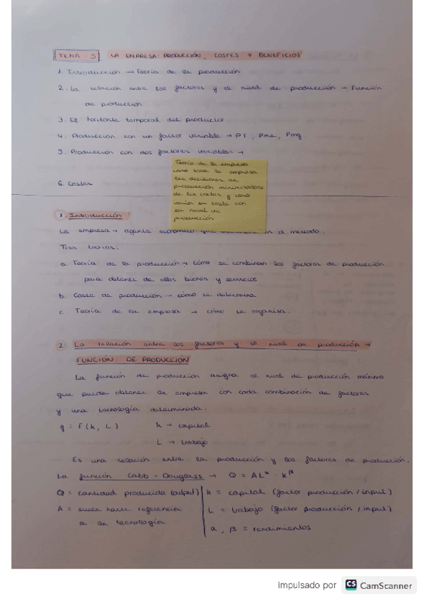 Miniatura del documento microeconomia-tema5.pdf