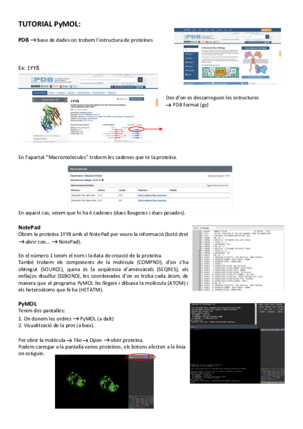 Miniatura del documento PYMOL.pdf