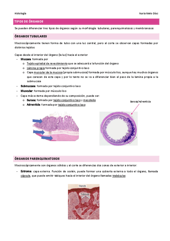 Miniatura del documento Tipos de órganos