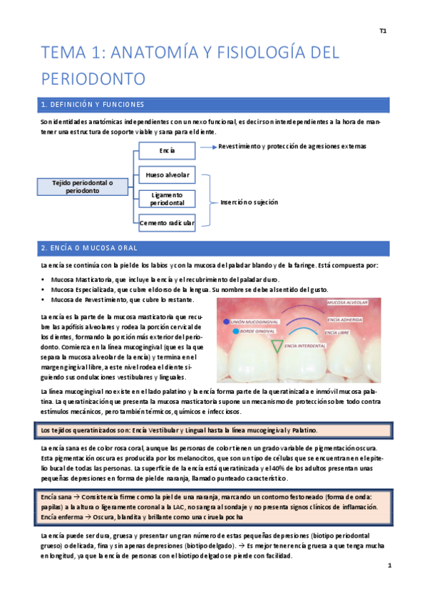 Miniatura del documento MG-y-SM 1º Cuatrimestre Fácil.pdf