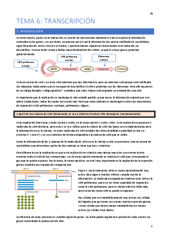 Miniatura del documento Temas-6-16 Fácil.pdf