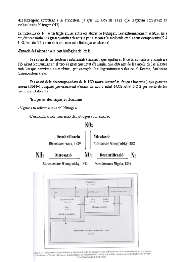 Miniatura del documento Ciclo-del-nitrogeno-fosforo-y-azufre.pdf