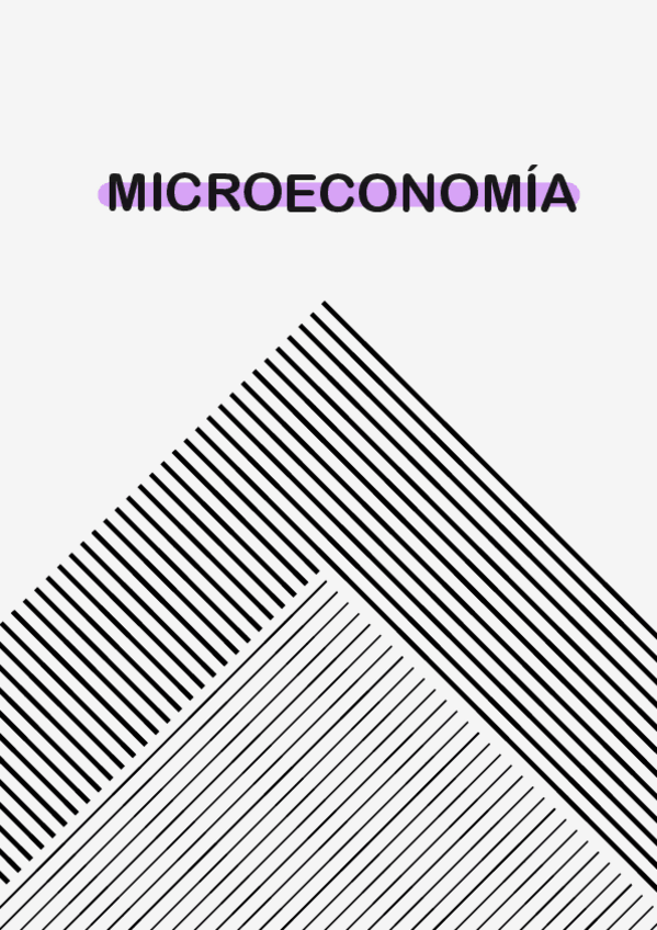 Miniatura del documento Teoria-micro.pdf