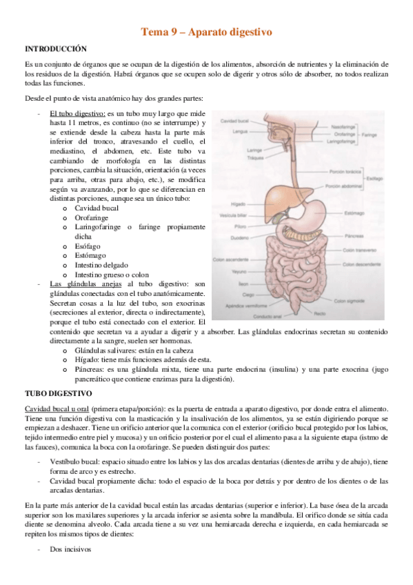 Miniatura del documento Tema-9-Aparato-digestivo.pdf