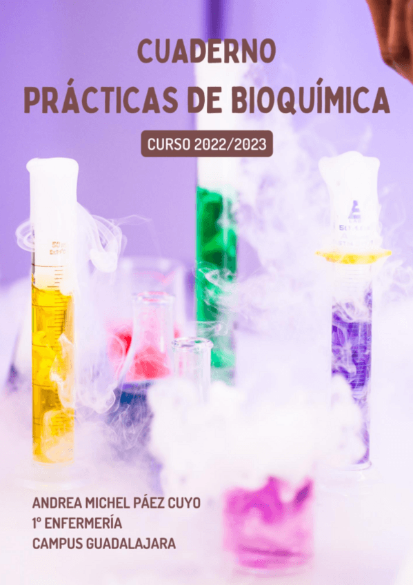 Miniatura del documento Cuaderno-de-practicas-de-bioquimica.pdf