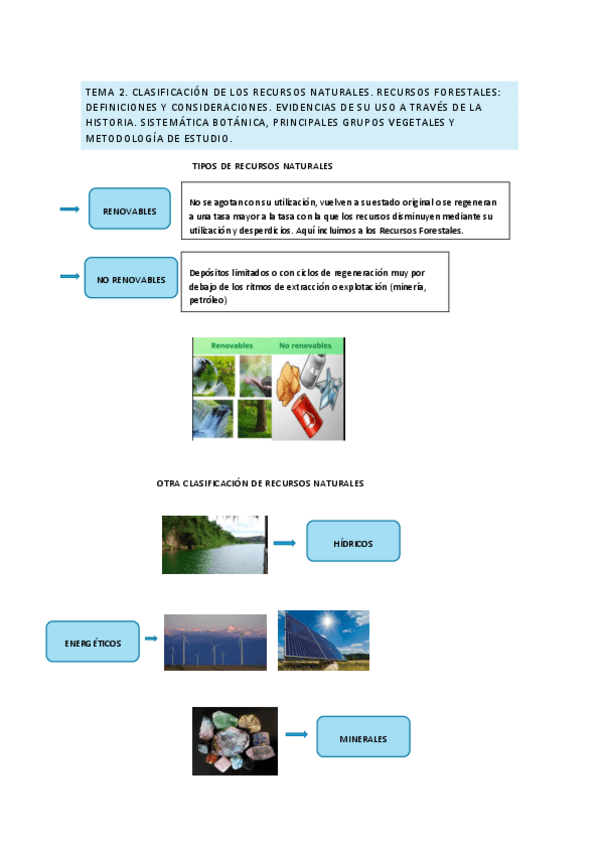 Miniatura del documento Resumen-tema-2.pdf