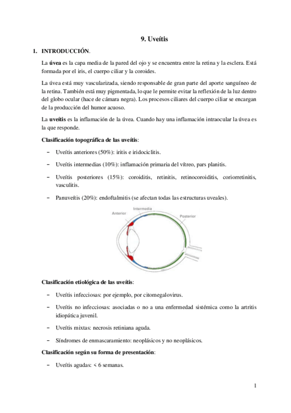 Miniatura del documento 9.-Uveitis.pdf