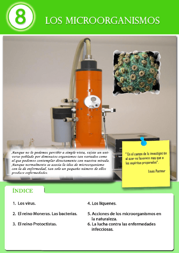 Miniatura del documento UNIDAD-08-LOS-MICROORGANISMOS.pdf