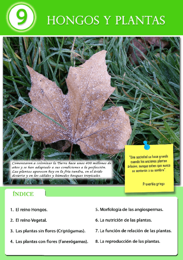 Miniatura del documento UNIDAD-09-HONGOS-Y-PLANTAS.pdf