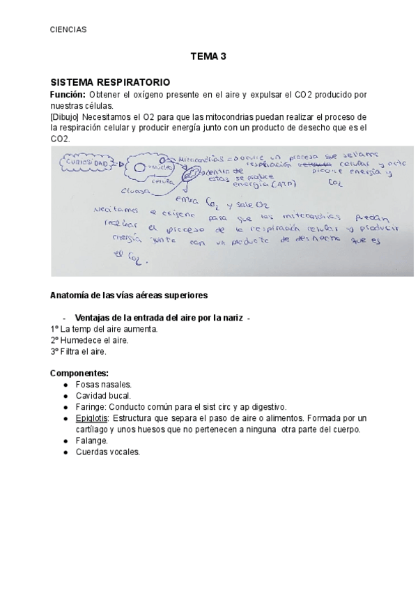 Miniatura del documento CIENCIAS-TEMA-3.pdf