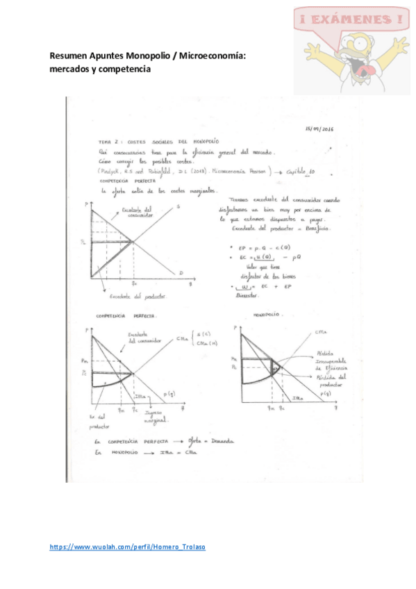 Miniatura del documento Resumen Apuntes Monopolio - Microeconomía mercados y competencia.pdf