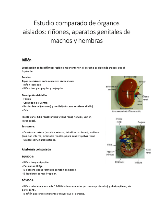 Miniatura del documento Practica-5.pdf