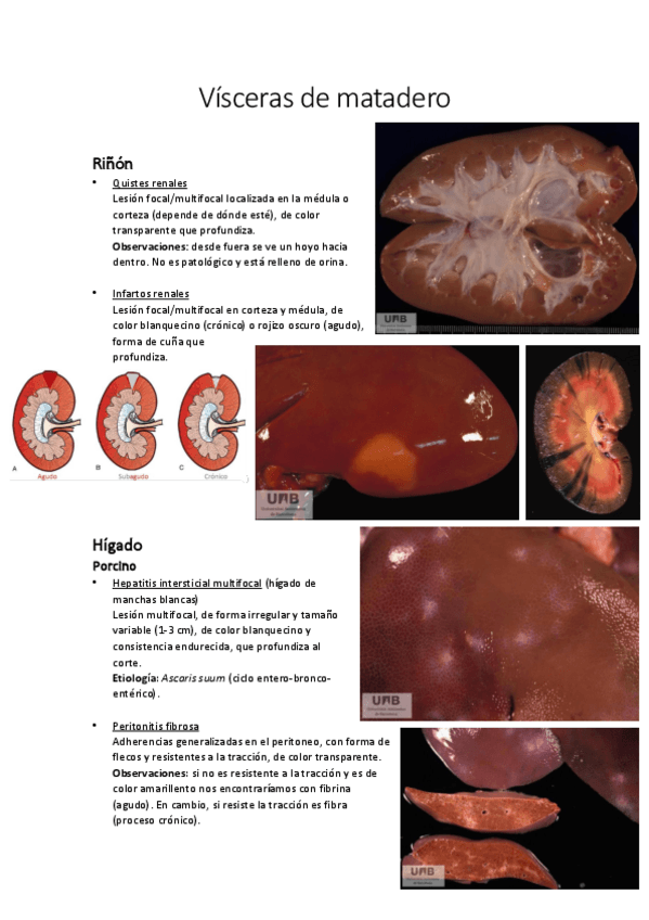 Miniatura del documento Visceras-de-matadero.pdf