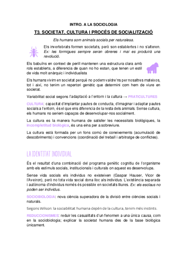 Miniatura del documento T3.-SOCIETAT-CULTURA-I-PROCES-DE-SOCIALITZACIO.pdf