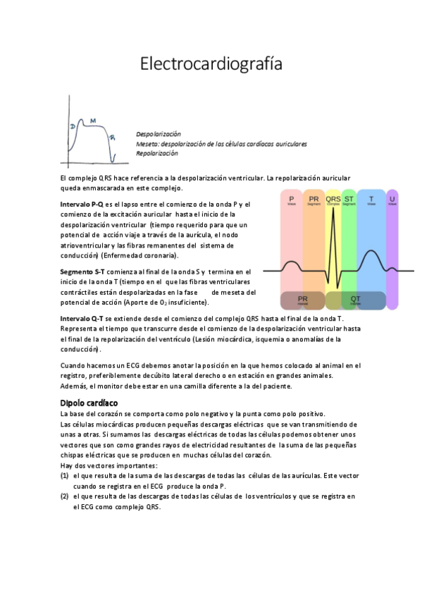 Miniatura del documento Practica-4.-Electrocardiografia.pdf