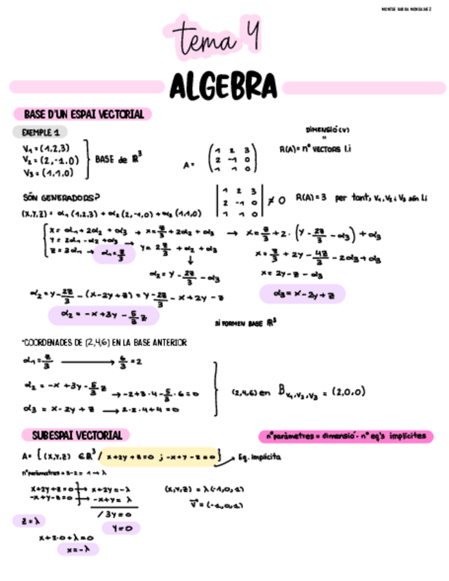 Miniatura del documento tema-4-algebra.pdf