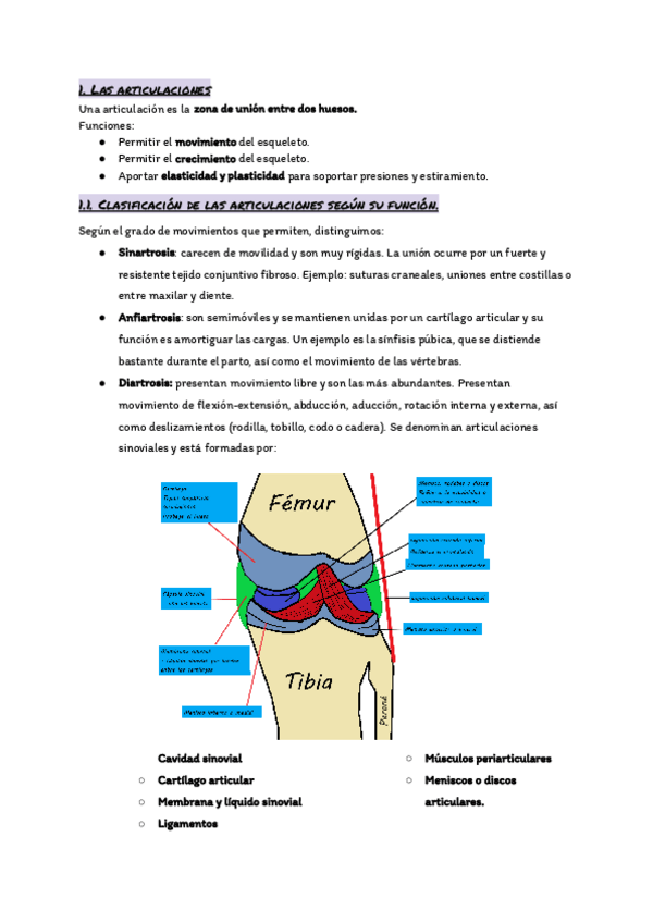 Miniatura del documento TEMA-7.-El-aparato-locomotor-las-articulaciones.pdf