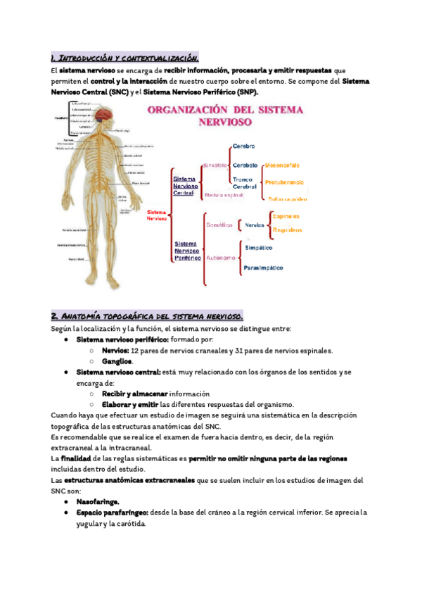 Miniatura del documento Tema-9.-El-Sistema-Nervioso-I.pdf